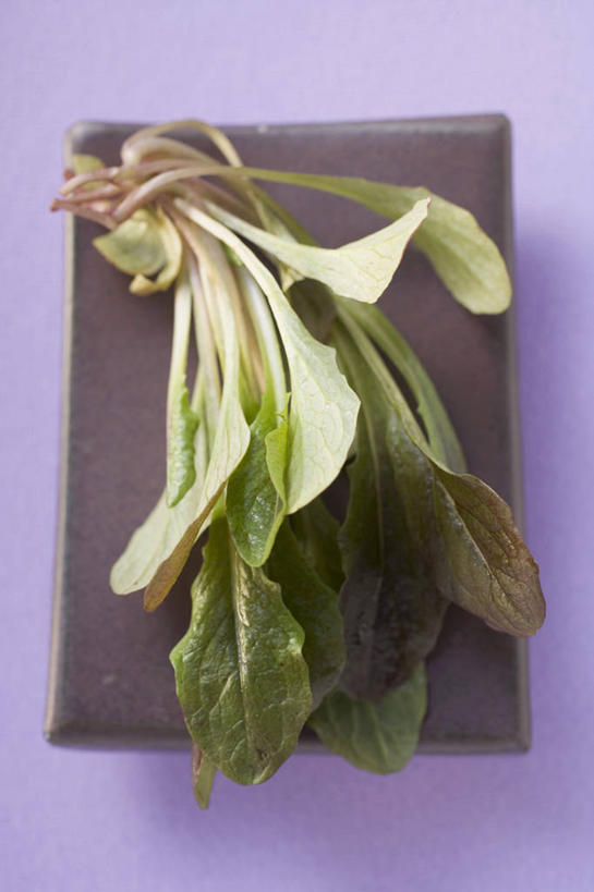 无人,竖图,俯视,室内,特写,白天,蔬菜,餐具,叶子,阴影,紫色背景,新鲜,反射,碟子,盘,影子,莴苣,莴笋,食品,绿叶,食物,盘子,碟,嫩叶,摄影,有机食品,绿色食品,影棚,香笋,千金菜,叶,叶片,彩图,高角度拍摄,影棚拍摄,拍摄