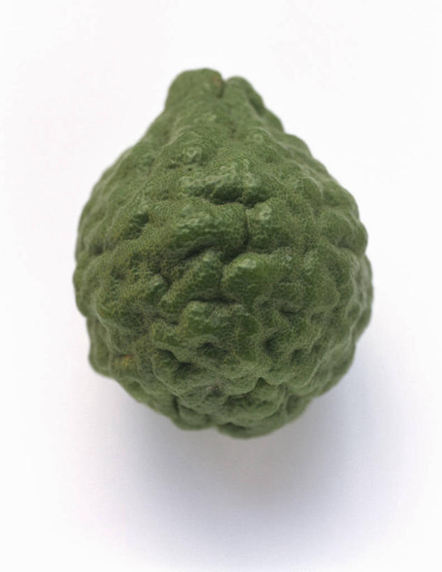 无人,竖图,俯视,室内,特写,白天,白色背景,餐桌,桌子,柠檬,水果,阴影,新鲜,粗糙,反射,影子,青柠檬,生食,食品,果实,食物,一个,绿色,摄影,有机食品,绿色食品,影棚,单个,餐台,毛糙,益母果,柠果,彩图,高角度拍摄,影棚拍摄,拍摄,粗拙