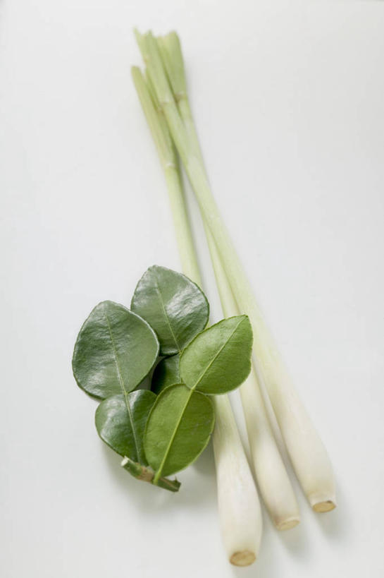 无人,竖图,俯视,室内,特写,白天,白色背景,桌面,桌子,叶子,阴影,反射,木制,影子,调味,香料,佐料,绿叶,香茅,柠檬草,木制品,嫩叶,摄影,影棚,作料,叶,叶片,彩图,高角度拍摄,影棚拍摄,拍摄