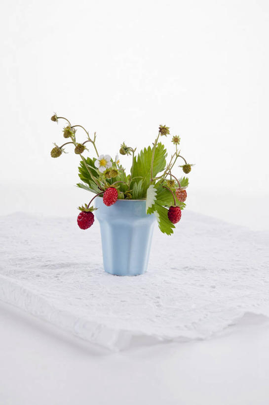 无人,竖图,俯视,室内,特写,白天,白色背景,植物,餐桌,桌子,浆果,水果,叶子,阴影,新鲜,反射,盆栽,影子,生食,食品,果实,绿叶,盆景,食物,红色,绿色,自然,餐巾,嫩叶,摄影,有机食品,绿色食品,影棚,生长,成长,餐台,野草莓,保洁方巾,口布,叶,叶片,洋莓,彩图,高角度拍摄,影棚拍摄,拍摄