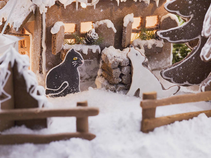 点心,无人,栏杆,横图,俯视,室内,特写,白天,雪,植物,大雪,宠物,猫,圣诞节,阴影,节日,庆祝,光线,影子,栅栏,积雪,篱笆,雪景,冬季,冬天,围栏,灯光,食品,甜点,圣诞树,文化,护栏,树,树木,食物,糕点,绿色,自然,动物,饼干,甜食,零食,两只,庆典,寒冷,可爱,生长,成长,纪念,猫咪,姜饼,严寒,姜饼屋,德式姜饼,彩图,高角度拍摄,圣诞姜饼屋
