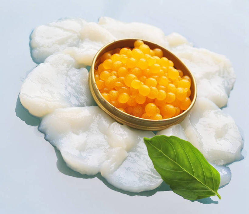 鱼子酱,无人,横图,俯视,室内,特写,白天,餐桌,桌子,鱿鱼,叶子,许多,阴影,蓝色背景,反射,影子,肉,鱼卵,鱼肉,绿叶,鱼籽,肉类,排列,嫩叶,摄影,影棚,餐台,肉食,摆列,叶,叶片,柔鱼,枪乌贼,彩图,高角度拍摄,影棚拍摄,拍摄,布列,分列