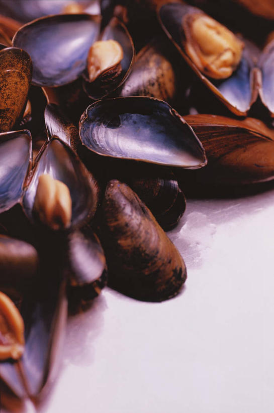 海鲜,无人,竖图,俯视,室内,特写,白天,白色背景,桌面,桌子,贝壳,一堆,许多,阴影,堆叠,堆积,反射,木制,影子,水产,海洋生物,木制品,摄影,影棚,堆,水生动物,海产品,贻贝,水生物,海底动物,海虹,淡菜,壳菜,青口,彩图,高角度拍摄,影棚拍摄,拍摄