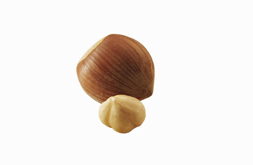 无人,横图,室内,特写,白天,白色背景,正面,阴影,反射,影子,坚果,果实,两个,干果,摄影,影棚,榛子,山板栗,彩图,影棚拍摄,拍摄