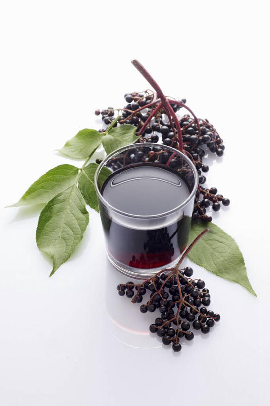 果汁,无人,竖图,俯视,室内,特写,白天,白色背景,植物,餐桌,桌子,杯子,叶子,阴影,反射,影子,绿叶,草药,药草,饮品,一杯,中药,玻璃制品,饮料,一个,水杯,嫩叶,摄影,影棚,单个,餐台,可口,药材,中草药,接骨木,中药材,本草,草珊瑚,接骨金粟兰,九节茶,九节风,九节花,肿节风,竹节茶,适口,叶,叶片,玻璃杯,彩图,高角度拍摄,影棚拍摄,拍摄