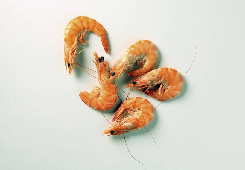 无人,横图,俯视,室内,特写,白天,白色背景,餐桌,桌子,五个,许多,阴影,反射,影子,虾,大虾,摄影,影棚,对虾,餐台,斑节虾,东方对虾,中国对虾,彩图,高角度拍摄,影棚拍摄,拍摄