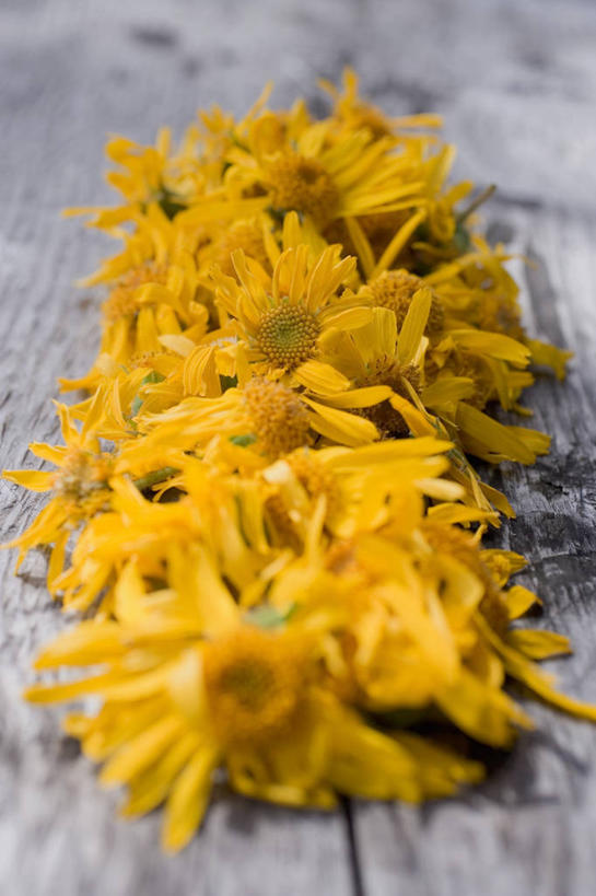 无人,竖图,俯视,室内,特写,白天,植物,餐桌,桌子,一堆,许多,阴影,堆叠,堆积,朦胧,模糊,反射,木制,影子,草药,药草,中药,黄色,木制品,餐台,堆,药材,中草药,中药材,本草,山金车,彩图,高角度拍摄