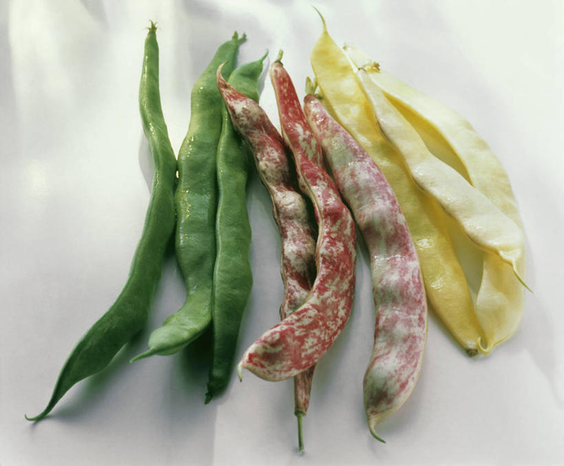 无人,横图,俯视,室内,特写,白天,植物,餐桌,桌子,豆,蔬菜,一堆,许多,阴影,堆叠,堆积,新鲜,反射,影子,豆类,豆子,刀豆,食品,四季豆,食物,有机食品,绿色食品,餐台,堆,芸豆,豆科,菜豆,二季豆,白肾豆,架豆,玉豆,去豆,多花菜豆,彩图,高角度拍摄