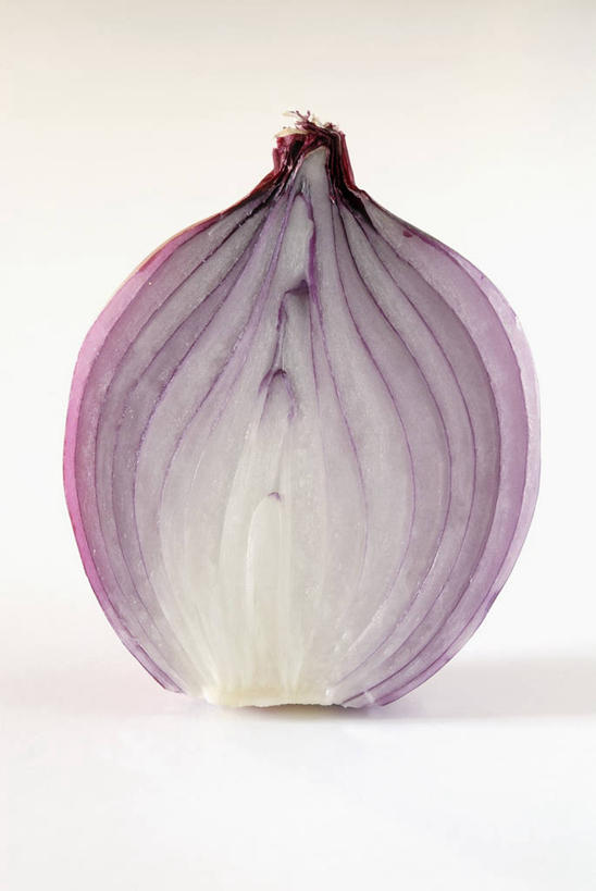 无人,竖图,室内,特写,白天,白色背景,正面,餐桌,桌子,蔬菜,洋葱,阴影,新鲜,反射,影子,食品,食物,一个,摄影,有机食品,绿色食品,影棚,单个,餐台,玉葱,横截面,剖面,截面,截面图形,圆葱,洋葱头,球葱,葱头,彩图,影棚拍摄,拍摄,红洋葱