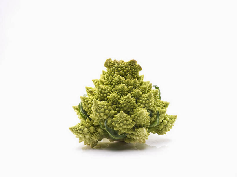 无人,横图,俯视,室内,特写,白天,白色背景,餐桌,桌子,蔬菜,阴影,新鲜,反射,影子,花菜,花椰菜,西兰花,食品,食物,一个,绿色,摄影,有机食品,绿色食品,影棚,单个,餐台,椰菜花,罗马花椰菜,青宝塔,甘蓝花,彩图,高角度拍摄,影棚拍摄,拍摄