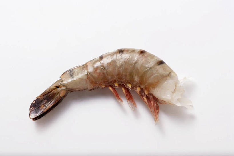 无人,横图,俯视,室内,特写,白天,白色背景,餐桌,桌子,阴影,反射,影子,虾,大虾,一个,摄影,影棚,对虾,单个,餐台,斑节虾,东方对虾,中国对虾,彩图,高角度拍摄,影棚拍摄,拍摄