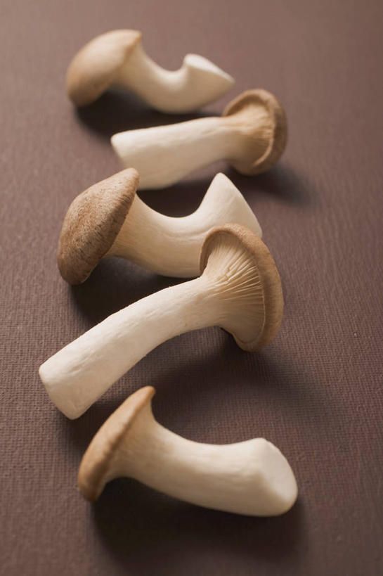 无人,竖图,俯视,室内,特写,白天,餐桌,桌子,蔬菜,五个,一排,许多,阴影,棕色背景,新鲜,整齐,反射,影子,菌菇,蘑菇,食品,菌类,食物,排列,食用菌,摄影,有机食品,绿色食品,影棚,餐台,队列,杏鲍菇,刺芹侧耳,彩图,高角度拍摄,影棚拍摄,拍摄