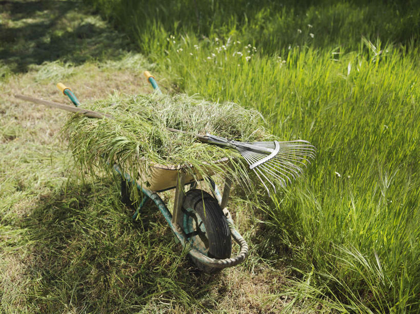 无人,横图,俯视,室外,白天,旅游,度假,草地,美景,植物,道路,路,西班牙,欧洲,一辆,阴影,光线,影子,景观,小路,交通,娱乐,安达卢西亚,车,草,绿色,阳光,自然,手推车,交通工具,享受,休闲,景色,放松,独轮车,南欧,自然风光,载具,安达鲁西亚,西班牙王国,安达卢西亚自治区,韦尔瓦省,彩图,高角度拍摄