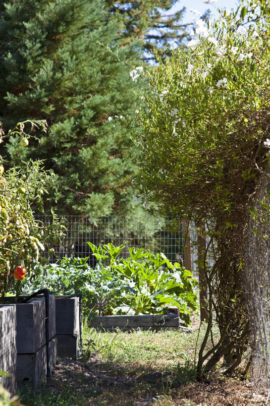 无人,竖图,室外,白天,正面,旅游,度假,草地,草坪,美景,树林,植物,道路,路,美国,阴影,光线,影子,景观,小路,交通,娱乐,草,树,树木,绿色,阳光,自然,享受,休闲,景色,放松,生长,成长,北美,北美洲,加利福尼亚,自然风光,美洲,加州,加利福尼亚州,金州,黄金州,北亚美利加洲,亚美利加洲,索诺马县,彩图,塞瓦斯托波尔