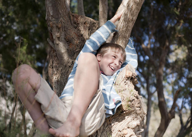 西方人,儿童,一个人,笑,攀登,微笑,露齿笑,横图,室外,白天,正面,游戏,纯洁,植物,欧洲,欧洲人,仅一个男性,仅一个人,阴影,条纹,服装,光线,影子,玩,注视,休闲装,光脚,娱乐,树,树干,树木,小孩,衣服,绿色,阳光,自然,观察,看,仅一个小孩,休闲,赤脚,休闲服,可爱,童年,童趣,服饰,生长,成长,观看,活动,察看,发泄,关注,消遣,智力,童真,烂漫,无邪,宣泄,天真,男孩,男人,男性,白种人,孩子,攀爬,玩耍,嬉戏,半身,彩图,攀缘,男生