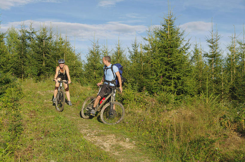 西方人,中年人,两个人,家庭,夫妻,坐,横图,室外,白天,正面,爱情,锻炼,旅游,度假,运动,草地,草坪,植物,自行车,欧洲,欧洲人,握,阴影,服装,光线,包,影子,云,云朵,浪漫,云彩,旅行包,注视,休闲装,娱乐,车,脚踏车,草,树,树木,衣服,蓝色,绿色,白云,蓝天,天空,阳光,自然,背包,交通工具,天,观察,看,骑车,享受,休闲,温暖,温馨,一家人,休闲服,恩爱,放松,握着,恋人,服饰,生长,晴朗,成长,观看,和睦,察看,关注,载具,室外运动,户外运动,旅游包,男人,男性,女人,女性,中年男性,中年女性,白种人,夫妇,情侣,晴空,坐着,彩图,全身,健身,伴侣,融洽,双肩包