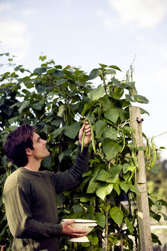 西方人,一个人,站,笑,微笑,露齿笑,竖图,室外,白天,侧面,草地,植物,豆,蔬菜,欧洲,欧洲人,仅一个男性,仅一个人,许多,握,阴影,服装,新鲜,光线,影子,陶瓷,云,云朵,豆类,豆子,食品,陶瓷制品,云彩,注视,休闲装,草,食物,仅一个年轻男性,一个,衣服,蓝色,绿色,白云,蓝天,天空,阳光,容器,碗,天,观察,看,站着,休闲,休闲服,握着,服饰,有机食品,绿色食品,晴朗,单个,观看,储藏,察看,储存,关注,豆科,赤花蔓豆,红花菜豆,看花豆,男人,男性,年轻男性,白种人,晴空,抬头,仰头,站立,半身,彩图,贮存
