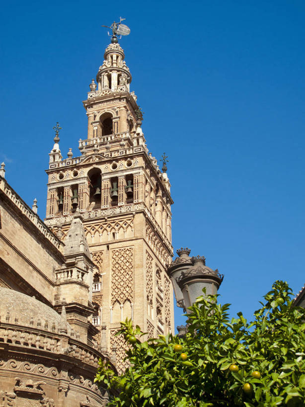 无人,教堂,竖图,室外,白天,仰视,旅游,度假,植物,标志建筑,地标,建筑,西班牙,欧洲,阴影,节日,光线,影子,文化,娱乐,建设,安达卢西亚,塞维利亚,树,树木,蓝色,绿色,蓝天,天空,阳光,自然,天,祈祷,享受,休闲,健康,旅游胜地,放松,许愿,宗教,信仰,生长,晴朗,成长,纪念,祈求,南欧,安达鲁西亚,信念,万里无云,首府,西班牙王国,安达卢西亚自治区,平安,晴空,晴空万里,彩图,低角度拍摄,大教堂,礼拜堂