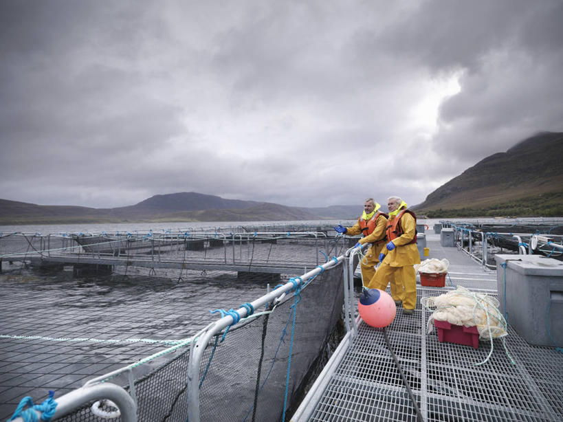 西方人,两个人,伙伴,朋友,站,横图,室外,白天,正面,工作服,制服,友谊,合作,团队,海浪,海洋,欧洲,欧洲人,服装,救生衣,浪花,乌云,云,阴天,云朵,云彩,注视,衣服,黄色,天空,海水,天,观察,看,站着,战略,充气,服饰,渔网,观看,救生背心,渔具,察看,昏暗,救生,衣着,阴沉,穿着,关注,抓捕,捕捞,鱼网,海景,拉网,捕捞工具,联合,合谋,工作制服,衣饰,浮水衣,配合,协作,老年男性,男人,男性,中年男性,白种人,大海,风浪,海,海水的波动,近岸浪,涌浪,站立,彩图,全身,工作套服