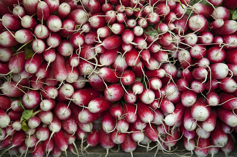 无人,横图,室外,特写,白天,正面,萝卜,蔬菜,一排,许多,阴影,新鲜,整齐,光线,影子,食品,食物,排列,红色,阳光,有机食品,绿色食品,水萝卜,堆,队列,彩图