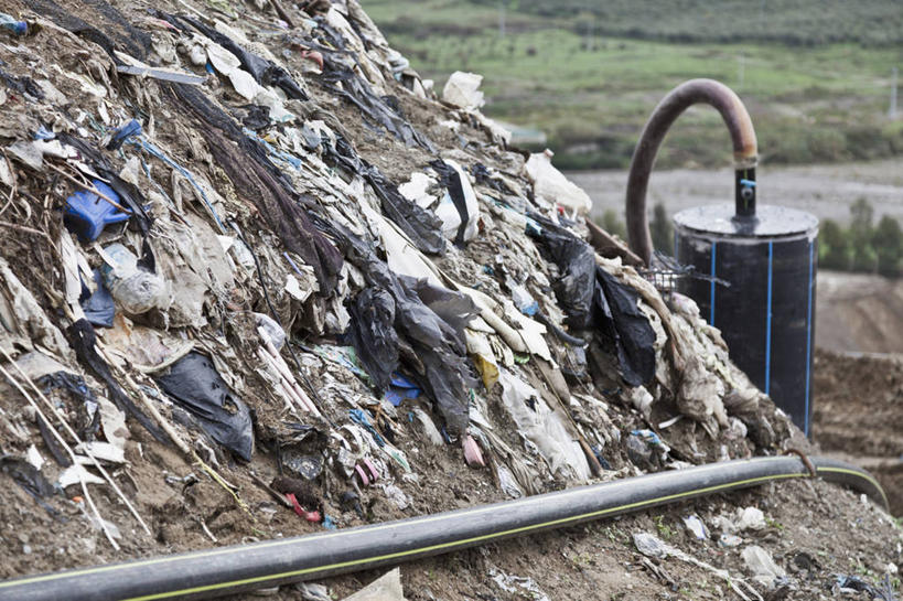 无人,横图,室外,白天,正面,草地,草坪,植物,意大利,欧洲,一堆,许多,阴影,堆叠,堆积,光线,管子,影子,垃圾,很多,管道,草,绿色,阳光,堆,南欧,意大利共和国,首府,波伦亚,博洛尼亚,柱廊之城,渣滓,艾米利亚.罗马涅,艾米利亚.罗马涅大区,彩图