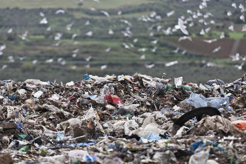 无人,横图,室外,白天,正面,山,山脉,鸟,意大利,欧洲,一堆,许多,飞翔,伸展,张开,展翅,堆叠,堆积,飞行,翅膀,鸟类,山峰,垃圾,山峦,很多,翱翔,飞,群山,肮脏,堆,南欧,张开翅膀,邋遢,意大利共和国,首府,波伦亚,博洛尼亚,柱廊之城,龌龊,污秽,渣滓,展开翅膀,恶浊,艾米利亚.罗马涅,艾米利亚.罗马涅大区,半身,彩图