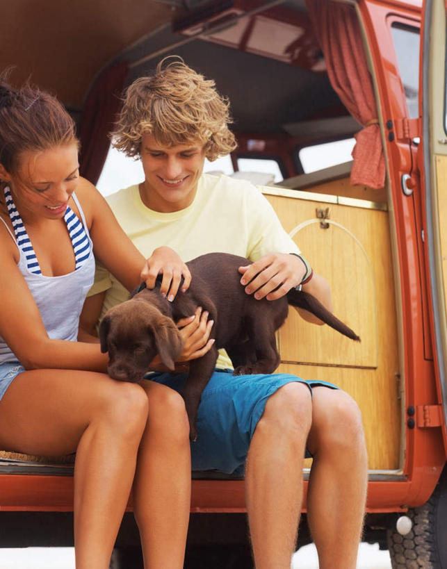 西方人,两个人,坐,笑,摸,微笑,露齿笑,竖图,室外,白天,正面,爱情,汽车,宠物,狗,欧洲,欧洲人,一辆,抚摸,服装,面包车,浪漫,拉布拉多,注视,休闲装,拉布拉多猎犬,车,一只,衣服,动物,交通工具,观察,看,休闲,温暖,温馨,休闲服,恩爱,可爱,恋人,服饰,观看,和睦,察看,关注,载具,拉布拉多犬,忠诚,男人,男性,年轻男性,年轻女性,女人,女性,白种人,情侣,犬,触摸,接触,坐着,半身,彩图,伴侣,融洽