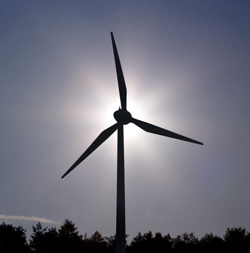 无人,竖图,室外,特写,白天,仰视,农业,风能,风力发电机,树林,太阳,植物,风车,德国,欧洲,阴影,环保,电力,光线,影子,背光,设备,慕尼黑,树,树木,一个,蓝色,绿色,蓝天,天空,阳光,自然,天,发电,机械,工业,生长,能源,晴朗,单个,成长,资源,风力机,西欧,逆光,利用,低碳,万里无云,德意志联邦共和国,首府,巴伐利亚,巴伐利亚州,拜恩州,拜恩自由州,风力发电,晴空,晴空万里,彩图,低角度拍摄