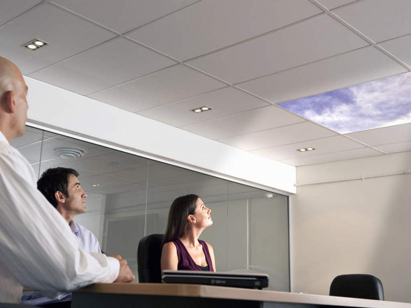 西方人,三个人,伙伴,朋友,商务人士,商务男性,商务女性,办公室,坐,横图,室内,白天,仰视,衬衫,友谊,合作,团队,电脑,笔记本电脑,窗户,天花板,桌面,桌子,椅子,照明,欧洲,欧洲人,阴影,套装,光线,网络,影子,办公桌,天窗,云,云朵,灯光,云彩,注视,通讯设备,顶灯,玻璃窗,灯,蓝色,白云,蓝天,天空,阳光,会议椅,灯具,天,观察,看,战略,晴朗,观看,办公椅,照亮,察看,无线,照明设备,关注,通信设备,商务装,无线网络,无线上网,便携式电脑,工薪阶层,联合,合谋,商务椅,培训椅,配合,协作,手提电脑,男人,男性,女人,女性,中年男性,中年女性,白种人,白领,上班族,晴空,抬头,仰头,坐着,半身,彩图,低角度拍摄,衬衣