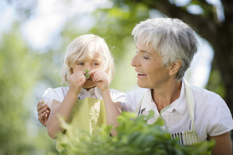 西方人,儿童,老年人,两个人,家庭,祖母,站,坐,笑,微笑,露齿笑,横图,室外,白天,正面,纯洁,草地,草坪,植物,花盆,欧洲,欧洲人,握,阴影,服装,朦胧,模糊,光线,盆栽,影子,园艺,盆景,拿,拿着,注视,休闲装,草,树,树木,小孩,衣服,绿色,阳光,自然,观察,看,站着,休闲,温暖,温馨,一家人,休闲服,可爱,童年,童趣,握着,服饰,生长,奶奶,成长,观看,祖孙,和睦,察看,关注,童真,烂漫,无邪,外婆,外孙女,外祖母,天真,老年女性,女孩,女人,女性,白种人,孩子,孙女,站立,坐着,半身,彩图,融洽,女生