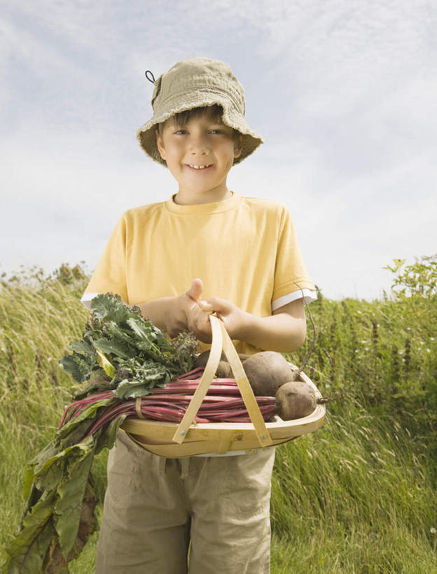 西方人,儿童,一个人,站,笑,交叉,微笑,露齿笑,竖图,室外,白天,正面,T恤衫,纯洁,草地,草坪,植物,竹子,蔬菜,帽子,欧洲,欧洲人,仅一个男性,仅一个人,一堆,许多,握,阴影,堆叠,堆积,竹制,服装,新鲜,编织,光线,篮子,影子,云,云朵,食品,拿,T恤,甜菜,云彩,拿着,注视,休闲装,草,树,树木,食物,小孩,衣服,黄色,绿色,白云,天空,阳光,自然,遮阳帽,竹篮,天,观察,看,站着,仅一个小孩,休闲,休闲服,可爱,童年,童趣,握着,服饰,有机食品,绿色食品,生长,成长,观看,竹条,堆,交织,察看,竹制品,关注,童真,烂漫,无邪,菾菜,穿插,天真,男孩,男人,男性,白种人,孩子,站立,半身,彩图,男生