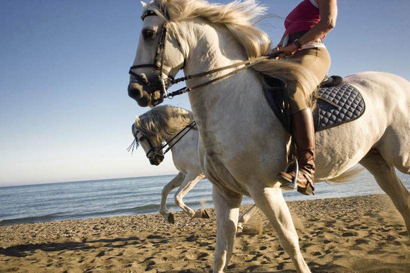 西方人,一个人,坐,横图,室外,白天,仰视,海浪,海洋,沙滩,马,野生动物,欧洲,欧洲人,仅一个女性,仅一个人,骑马,握,阴影,服装,光线,沙子,影子,海岸,浪花,水平线,辽阔,海平线,沙地,休闲装,一匹,座位,马鞍,衣服,蓝色,蓝天,天空,阳光,海水,动物,天,仅一个中年女性,休闲,广阔,休闲服,握着,运输,服饰,牲畜,晴朗,一望无际,海景,万里无云,马具,无边无际,一马平川,女人,女性,中年女性,白种人,大海,风浪,海,海水的波动,海滩,近岸浪,涌浪,晴空,晴空万里,坐着,半身,彩图,低角度拍摄,水天相接,水天一线