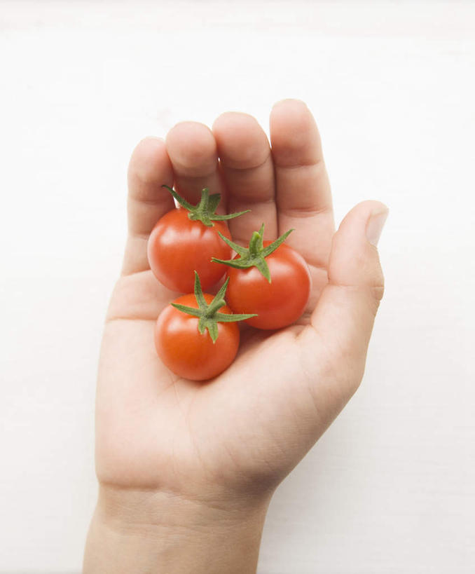 西方人,儿童,手,一个人,竖图,俯视,室内,特写,白天,白色背景,纯洁,蔬菜,西红柿,小番茄,欧洲,欧洲人,仅一个男性,仅一个人,握,新鲜,食品,拿,拿着,食物,三个,小孩,仅一个小孩,手部,可爱,童年,童趣,握着,摄影,有机食品,绿色食品,影棚,单手,童真,烂漫,无邪,小西红柿,樱桃小番茄,珍珠小番茄,天真,男孩,男人,男性,白种人,孩子,樱桃番茄,圣女果,番茄,半身,彩图,高角度拍摄,影棚拍摄,拍摄,男生