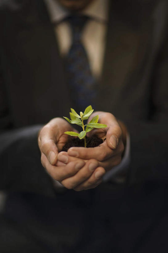 手,一个人,商务人士,商务男性,站,捧,竖图,室内,特写,白天,正面,衬衫,双手,仅一个男性,仅一个人,仅一个中年男性,阴影,套装,朦胧,模糊,反射,影子,泥土,土壤,领带,树苗,站着,手部,象征,庄重,商务装,身份,工薪阶层,正式,地位,男人,男性,中年男性,白领,上班族,端,端着,捧着,手捧,站立,半身,彩图,衬衣