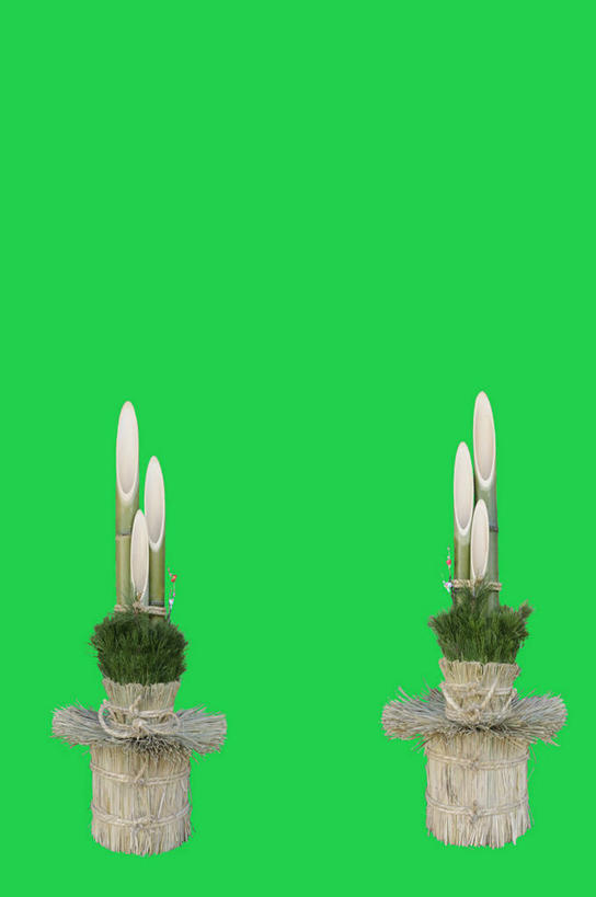 无人,竖图,室内,白天,正面,绿色背景,装饰,两个,摄影,影棚,华丽,修饰,点缀,门松,衬托,美观,雅致,雅观,长寿,彩图,影棚拍摄,拍摄