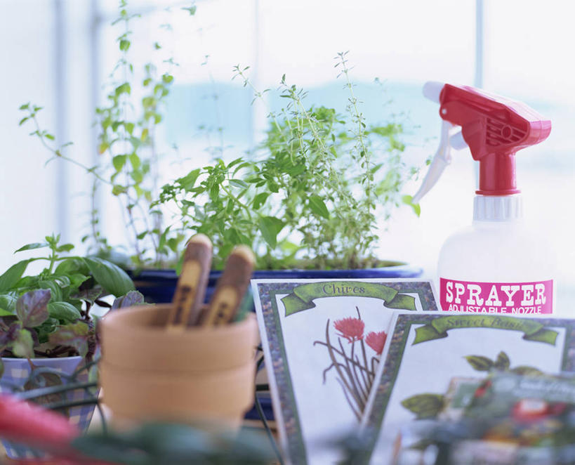 无人,横图,室内,白天,正面,植物,叶子,花盆,阴影,朦胧,模糊,反射,盆栽,影子,陶瓷,绿叶,盆景,陶瓷制品,绿色,自然,瓶子,容器,塑料制品,嫩叶,塑料瓶,生长,成长,储藏,喷雾瓶,储存,叶,叶片,彩图,喷瓶,贮存