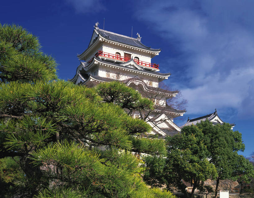 无人,横图,室外,白天,仰视,旅游,度假,名胜古迹,植物,标志建筑,地标,建筑,广岛县,日本,亚洲,阴影,遗迹,光线,影子,堡垒,城堡,云,云朵,云彩,古迹,文物,娱乐,建设,古建筑,树,树木,蓝色,绿色,白云,蓝天,天空,阳光,自然,天,享受,休闲,旅游胜地,放松,生长,晴朗,成长,要塞,古文明,东亚,本州,本州岛,日本国,广岛,広岛,中国地方,县厅,广岛市区,広岛市,设防,晴空,彩图,低角度拍摄,鲤城,广岛城