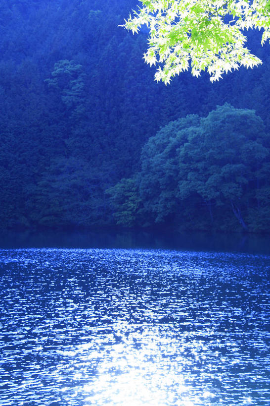 无人,竖图,室外,白天,正面,旅游,度假,湖,湖泊,美景,森林,山,山脉,树林,水,植物,长野县,静冈县,日本,亚洲,阴影,波纹,光线,影子,湖面,景观,山峰,水流,水面,涟漪,山峦,娱乐,树,树木,绿色,水纹,阳光,自然,波浪,湖水,群山,享受,休闲,景色,放松,生长,成长,自然风光,东亚,本州,本州岛,日本国,中部地方,静冈,山梨,山梨县,水晕,长野,彩图,赤石山脉,南阿尔卑斯