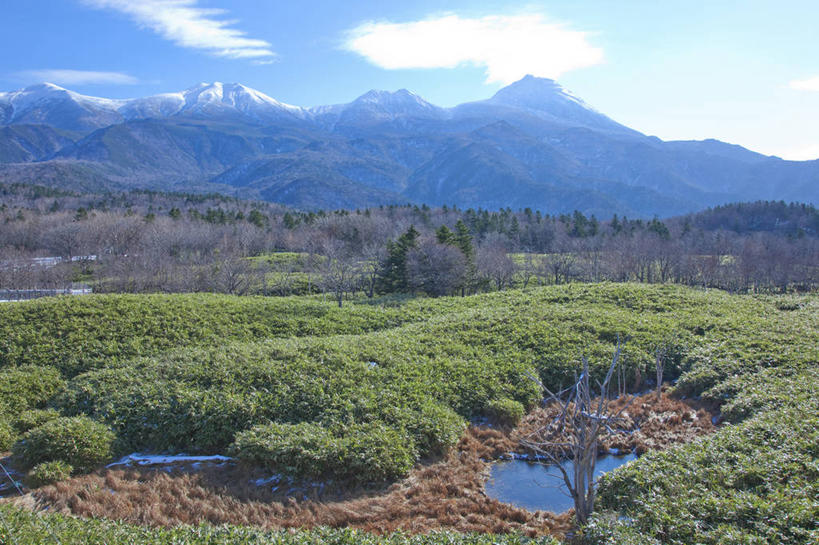 无人,横图,室外,白天,正面,旅游,度假,美景,森林,山,山脉,树林,植物,北海道,日本,亚洲,阴影,光线,影子,景观,山峰,云,云朵,山峦,云彩,娱乐,树,树木,蓝色,绿色,白云,蓝天,天空,阳光,自然,群山,天,享受,休闲,景色,放松,生长,晴朗,成长,自然风光,东亚,日本国,北海道地方,北海道岛,知床半岛,晴空,彩图,知床五湖