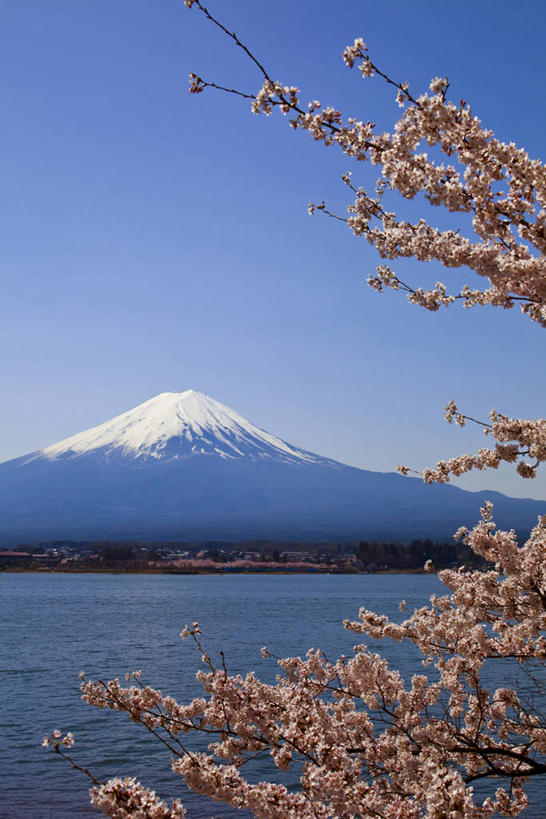 无人,竖图,室外,白天,正面,旅游,度假,幸福,纯洁,湖,湖泊,火山,美景,山,水,雪,雪山,植物,大雪,樱花,富士山,日本,亚洲,阴影,波纹,盛开,光线,影子,冰,湖面,积雪,景观,山峰,水流,水面,雪景,冬季,冬天,枝条,涟漪,山峦,花蕾,娱乐,花,花瓣,花朵,鲜花,树,树木,树枝,蓝色,绿色,倒影,蓝天,水纹,天空,阳光,自然,波浪,湖水,天,花苞,花蕊,享受,休闲,景色,放松,寒冷,生长,晴朗,成长,等待,冰冷,倒映,生命,自然风光,东亚,本州,万里无云,本州岛,日本国,中部地方,山梨,山梨县,水晕,仙樱花,福岛樱,青肤樱,高尚,严寒,冰凉,酷寒,凛冽,凛凛,极冷,富士五湖,热烈,反照,虬枝,枝杈,活火山,晴空,晴空万里,荆桃,彩图,河口湖,南都留郡,富士河口湖町