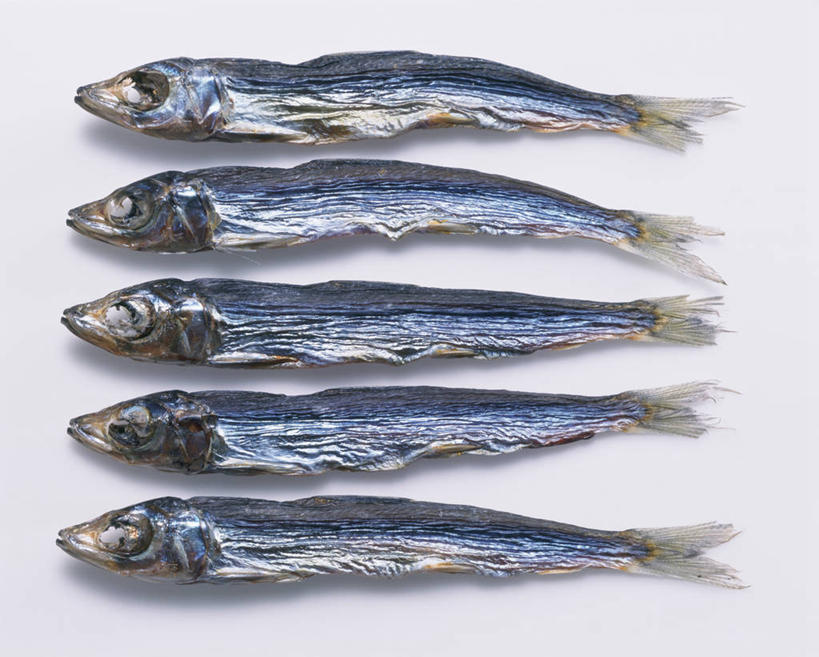 海鲜,无人,横图,俯视,室内,特写,白天,白色背景,一排,阴影,整齐,反射,鱼,影子,肉,鱼干,鱼肉,水产,肉类,鱼类,海洋生物,排列,摄影,影棚,五条,鲱鱼,队列,水生动物,海产品,水生物,肉食,海底动物,彩图,高角度拍摄,全身,影棚拍摄,拍摄