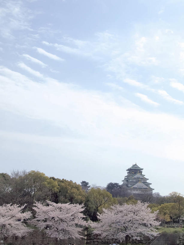 无人,公园,竖图,室外,白天,正面,旅游,度假,幸福,纯洁,美景,名胜古迹,树林,植物,标志建筑,地标,建筑,樱花,日本,亚洲,阴影,遗迹,盛开,光线,影子,堡垒,城堡,景观,云,云朵,中央区,花蕾,云彩,古迹,文物,娱乐,建设,古建筑,花,花瓣,花朵,鲜花,树,树木,粉色,蓝色,绿色,白云,蓝天,天空,阳光,自然,天,花苞,花蕊,享受,休闲,旅游胜地,景色,放松,大阪,大阪城公园,生长,晴朗,成长,等待,生命,要塞,自然风光,古文明,东亚,本州,大阪府,本州岛,日本国,近畿地方,大阪城,近畿,仙樱花,福岛樱,青肤樱,高尚,热烈,设防,晴空,荆桃,彩图