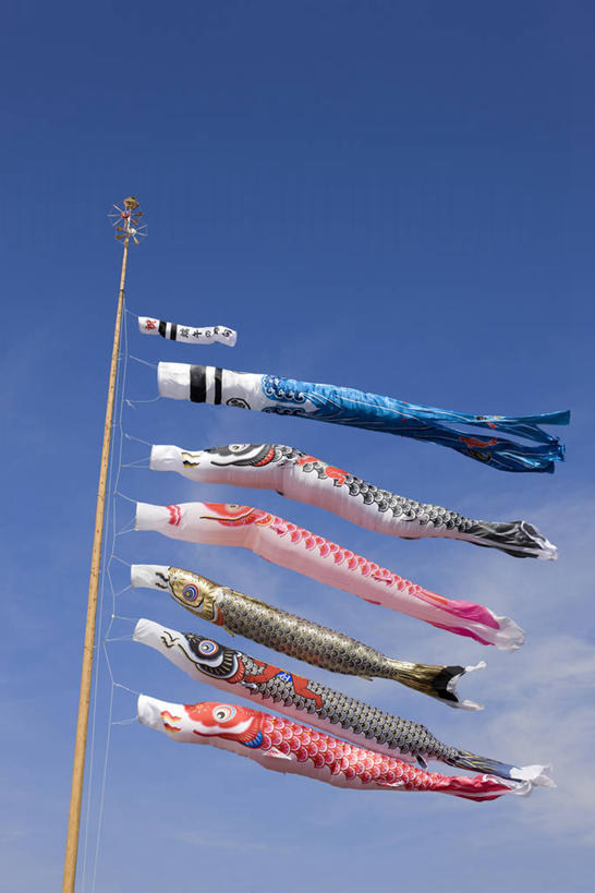 无人,竖图,室外,白天,仰视,旗帜,日本,亚洲,阴影,节日,庆祝,飘扬,光线,鲤鱼旗,影子,云,云朵,云彩,文化,旗子,蓝色,白云,蓝天,天空,阳光,天,祈福,庆典,晴朗,纪念,飘逸,祈求,飞扬,东亚,本州,关东地方,本州岛,日本国,群马,群马县,旌旗,旗号,鲤鱼节,男孩节,日本男孩节,子供之日,鲤帜,晴空,彩图,低角度拍摄