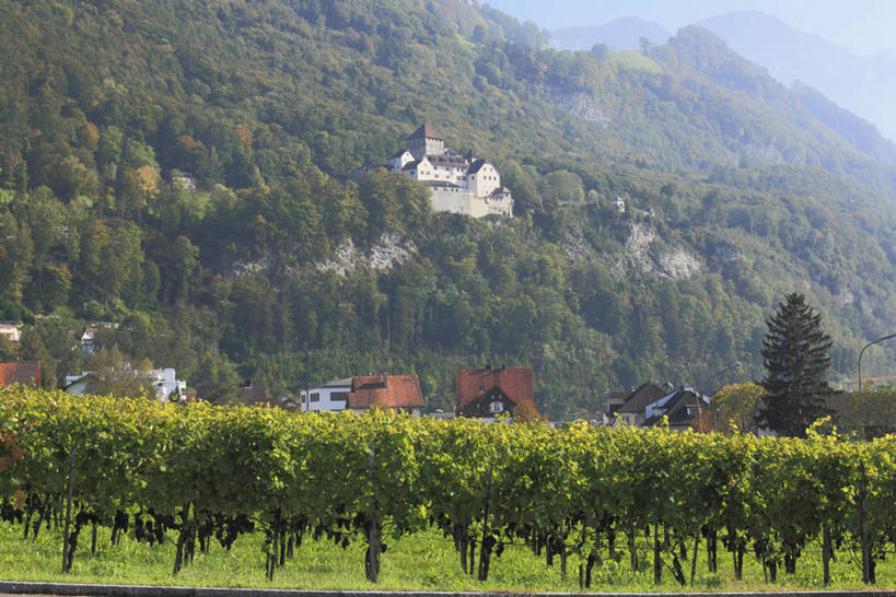 无人,家,果园,横图,室外,白天,正面,旅游,度假,美景,森林,山,山脉,树林,田园,植物,欧洲,列支敦士登,一排,许多,阴影,整齐,并列,并排,光线,影子,房屋,屋子,景观,山峰,公寓,山峦,首都,很多,娱乐,洋房,楼房,葡萄园,架子,住宅,树,树木,排列,绿色,阳光,自然,庄园,群山,享受,休闲,景色,放松,生长,成长,支撑,固定,队列,自然风光,平行,葡萄架,列支敦士登公国,瓦杜兹,彩图,房子