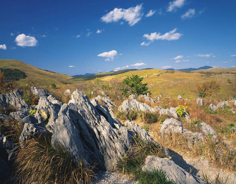 无人,横图,室外,白天,正面,旅游,度假,草地,草坪,石头,美景,山,山脉,植物,日本,亚洲,阴影,光线,石子,影子,景观,山峰,云,云朵,山峦,云彩,娱乐,草,蓝色,绿色,白云,蓝天,天空,阳光,自然,群山,天,享受,休闲,景色,放松,晴朗,自然风光,东亚,本州,本州岛,日本国,中国地方,山口,山口县,石块,岩石,晴空,彩图,美祢,美祢市,国定公园,秋吉台国定公园
