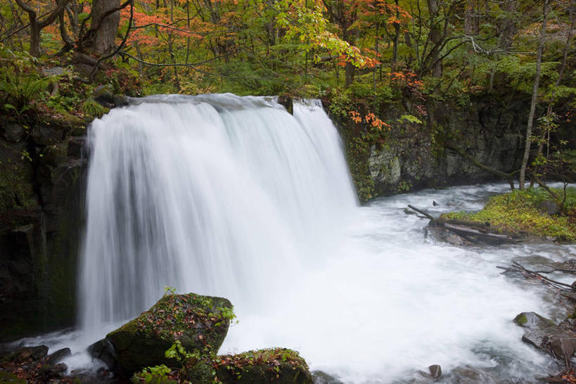 无人,横图,室外,白天,正面,长时间曝光,旅游,度假,草地,草坪,河流,美景,瀑布,水,植物,日本,亚洲,阴影,飞溅,溅,光线,液体,影子,河水,景观,水滴,水流,娱乐,水珠,草,树,树木,绿色,小溪,阳光,自然,溪水,享受,休闲,景色,放松,生长,成长,喷洒,自然风光,曝光,东亚,本州,本州岛,日本国,青森,青森县,东北地方,奥入濑溪谷,十和田市,十和田,跌水,彩图