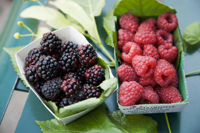 无人,横图,俯视,室外,特写,白天,黑莓,餐具,水果,叶子,一堆,许多,阴影,堆叠,堆积,新鲜,光线,碟子,盘,影子,生食,食品,果实,绿叶,很多,食物,两个,红色,阳光,盘子,碟,嫩叶,有机食品,绿色食品,堆,山莓,树莓,三月泡,四月泡,山抛子,刺葫芦,悬钩子,馒头菠,高脚菠,龙船泡,泡儿刺,露莓,叶,叶片,彩图,高角度拍摄