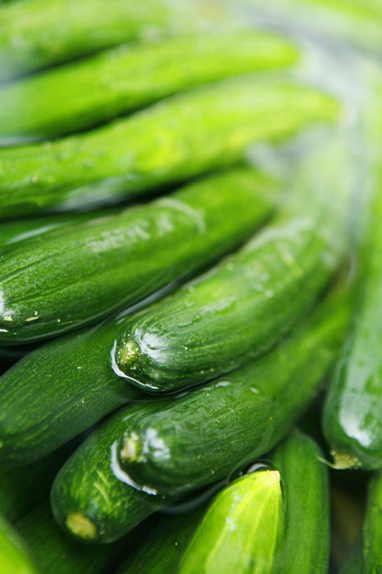 无人,竖图,俯视,室内,特写,白天,黄瓜,蔬菜,一堆,许多,阴影,堆叠,堆积,朦胧,模糊,新鲜,反射,影子,食品,很多,食物,有机食品,绿色食品,堆,青瓜,胡瓜,彩图,高角度拍摄