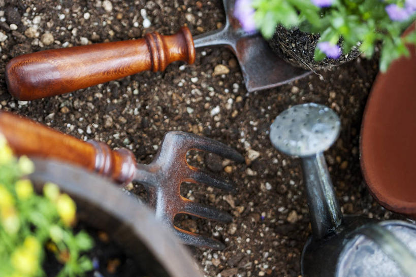 无人,横图,俯视,室内,特写,白天,植物,金属制品,阴影,朦胧,模糊,反射,金属,叉子,铲子,工具,壶,盆栽,影子,泥土,土壤,盆景,洒水壶,水壶,一个,绿色,自然,生长,单个,成长,农具,浇水壶,耕具,彩图,高角度拍摄,干草叉