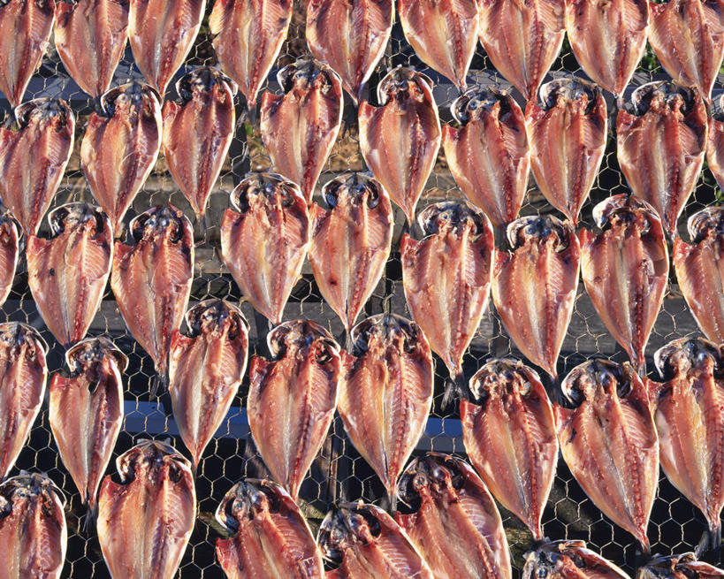 无人,横图,室外,特写,白天,正面,一排,许多,阴影,整齐,并列,并排,光线,影子,肉,鱼干,鱼肉,很多,肉类,排列,红色,阳光,队列,平行,肉食,彩图